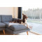 BBR-DBL-ZEN-GREY